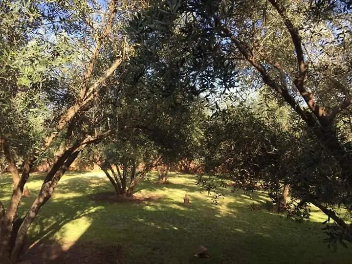 Riad Sidi Hicham Ouled Bouzid