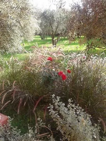Riad Sidi Hicham Ouled Bouzid 0*,  Марокко